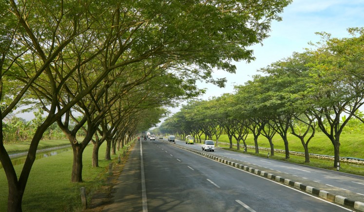 9000-trees-to-be-planted-in-Goregaon.jpg