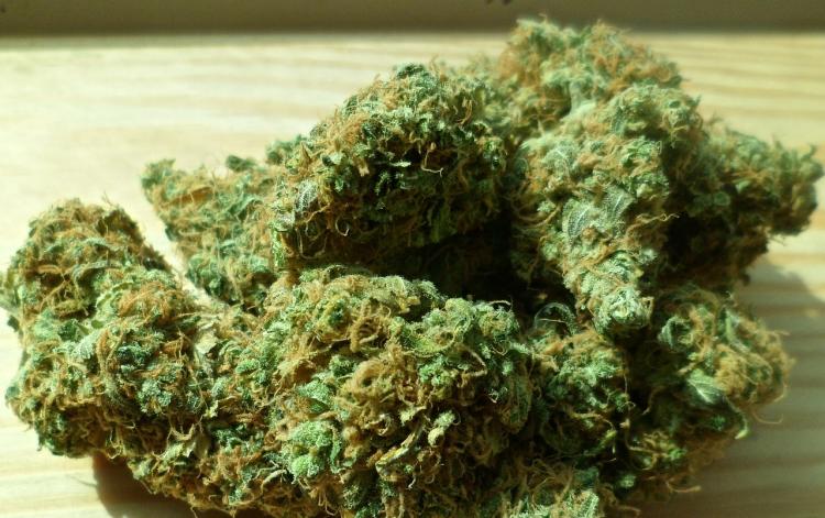 cannabis-weed-ganja.jpg
