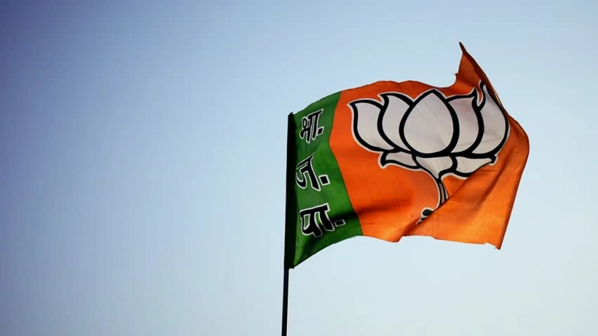 Bharatiya Janata Party Election Political party Bijepur, shivsena logo,  leaf, logo, india png | Klipartz