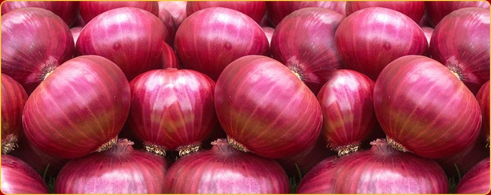 Red-Onions.jpg