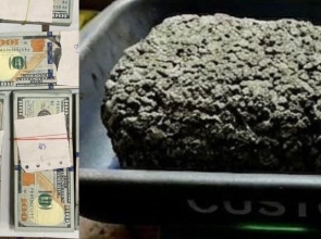 Mumbai Customs Seizes ₹19.8 Crore Worth Hydroponic Weed, Foreign Currency at Airport