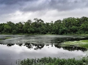 “Lake and Water Bodies Management: Sustainable Approaches for Algae Control and Ecosystem Health”